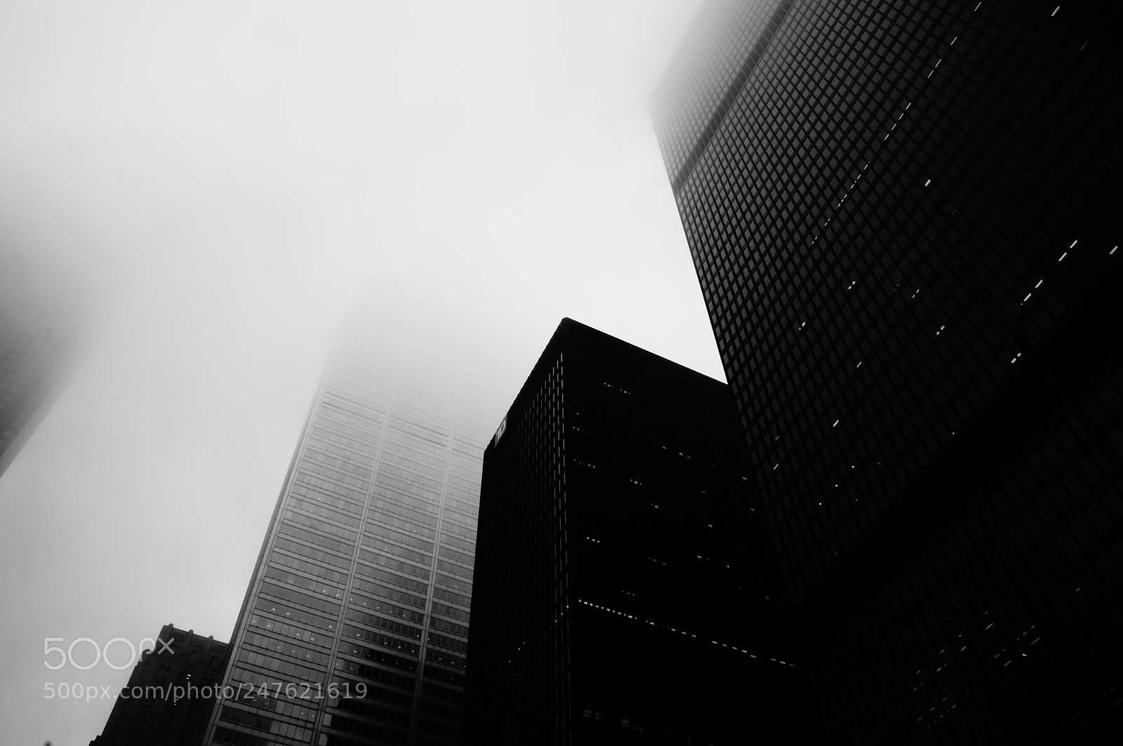 Sony Alpha NEX-F3 sample photo. Foggy day near the photography