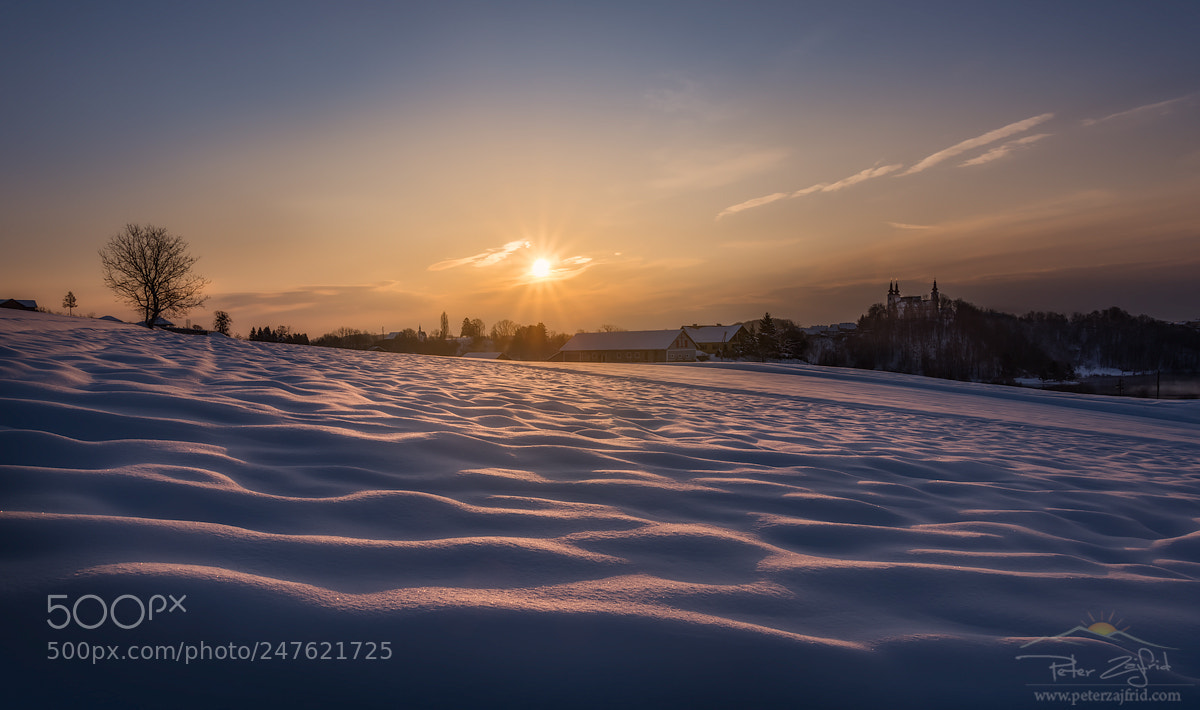 Nikon D810 sample photo. Winter light photography