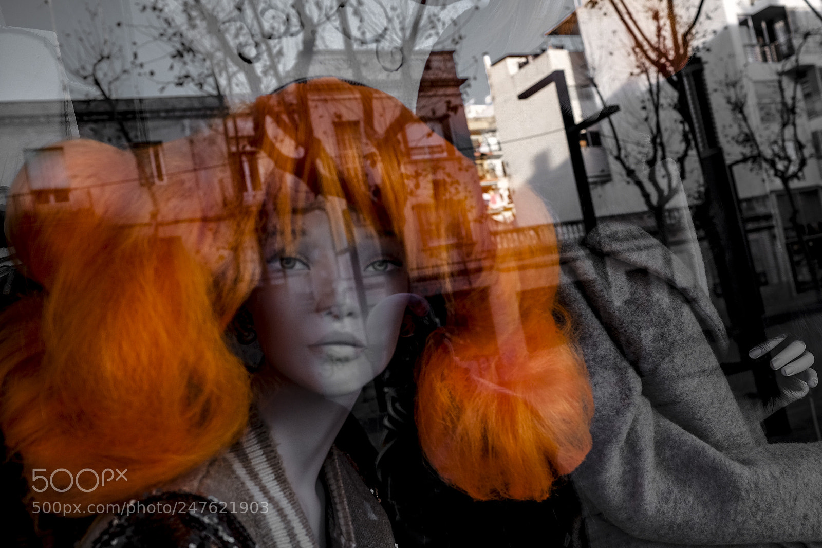 Fujifilm X-T10 sample photo. Orange is the color photography