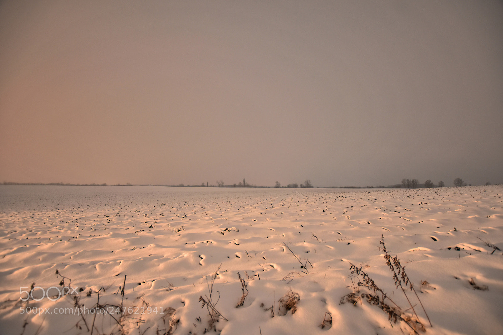 Nikon D7200 sample photo. Untitled photography