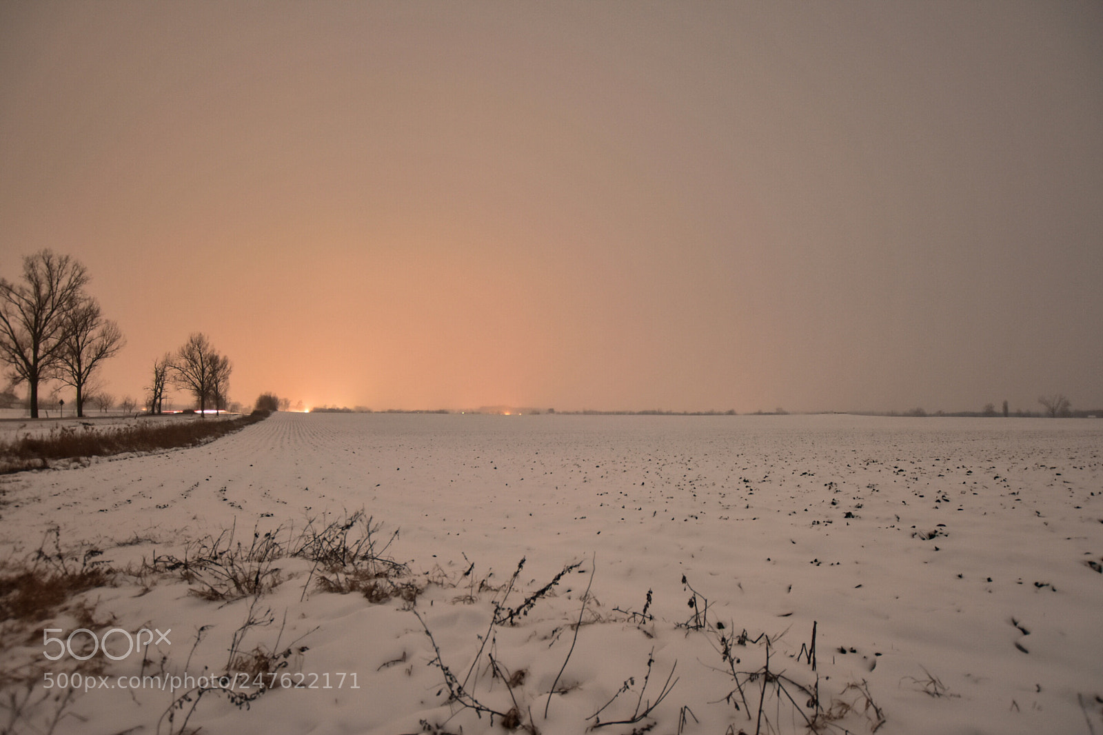 Nikon D7200 sample photo. Untitled photography