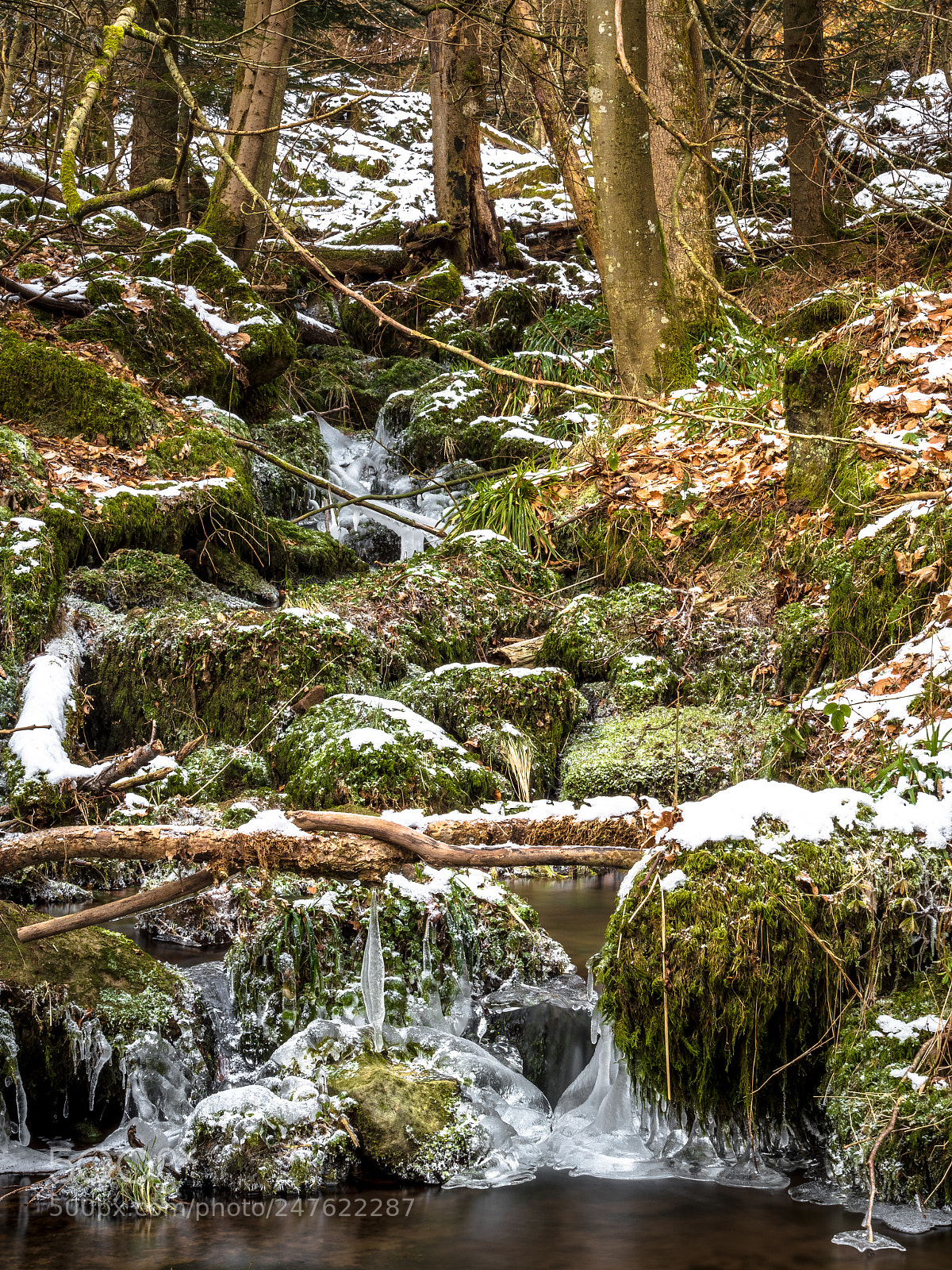 Panasonic Lumix DMC-GX8 sample photo. At the rotenbach-valley 2 photography