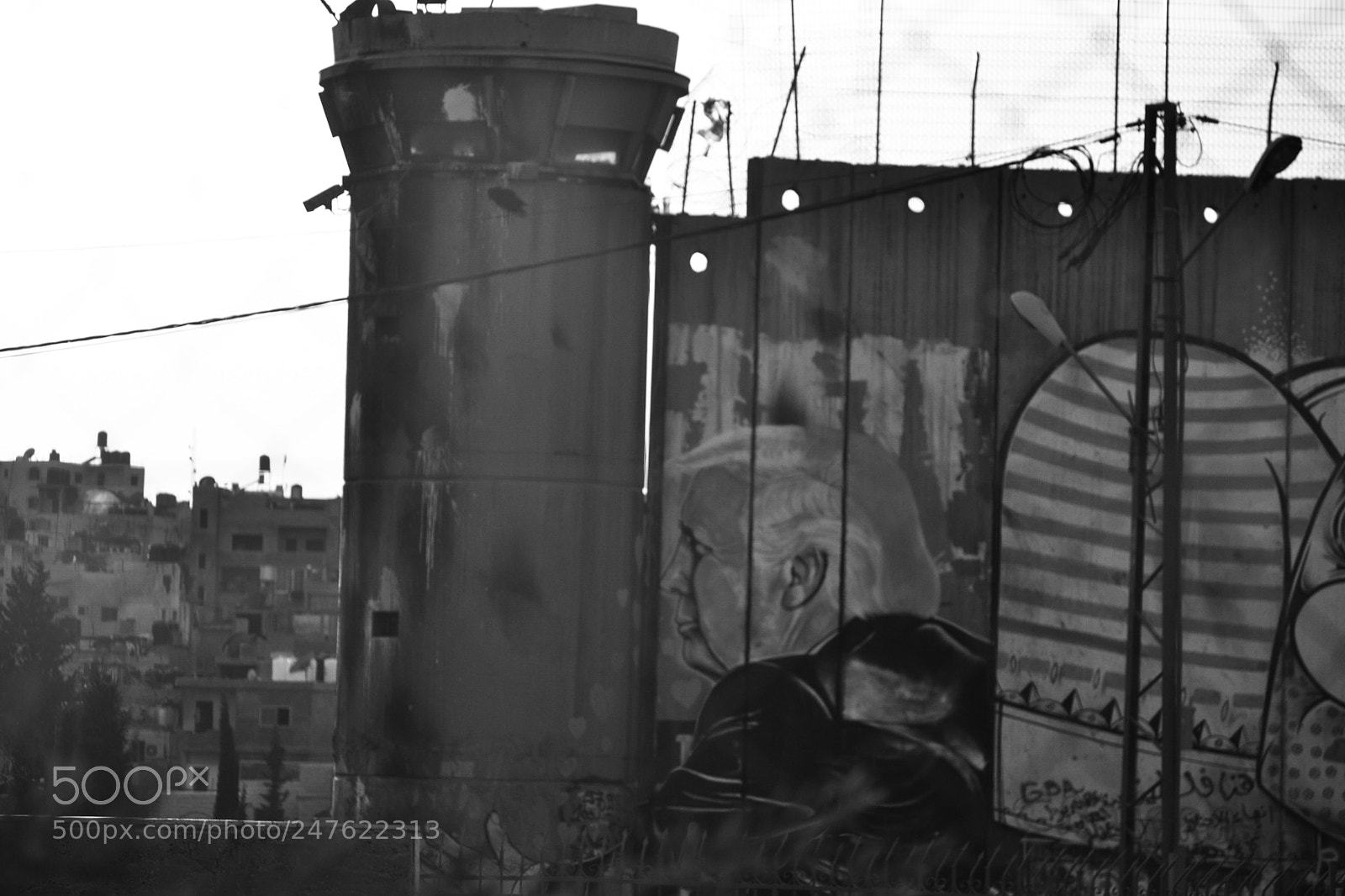 Nikon D3100 sample photo. Trump and the wall photography