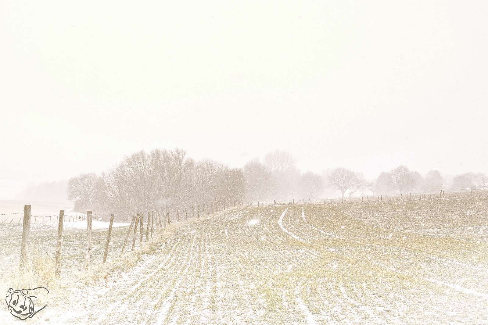 Sigma dp2 Quattro sample photo. Winterscene photography