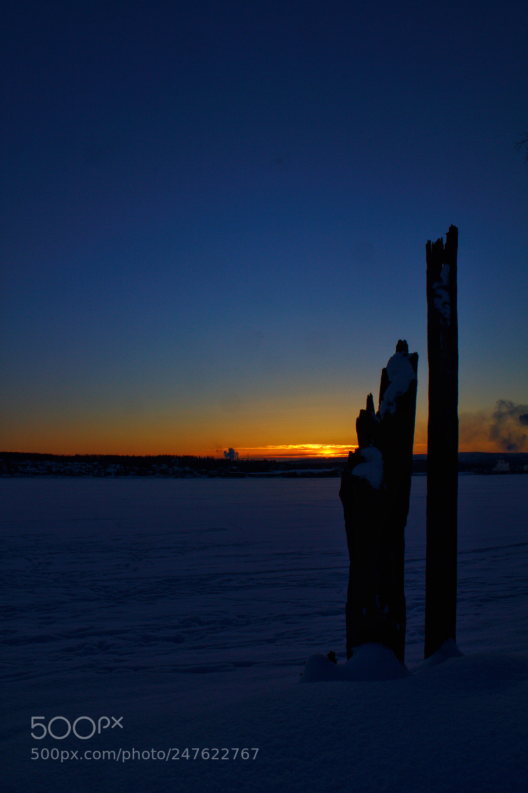 Canon EOS 550D (EOS Rebel T2i / EOS Kiss X4) sample photo. Evening in winterland photography