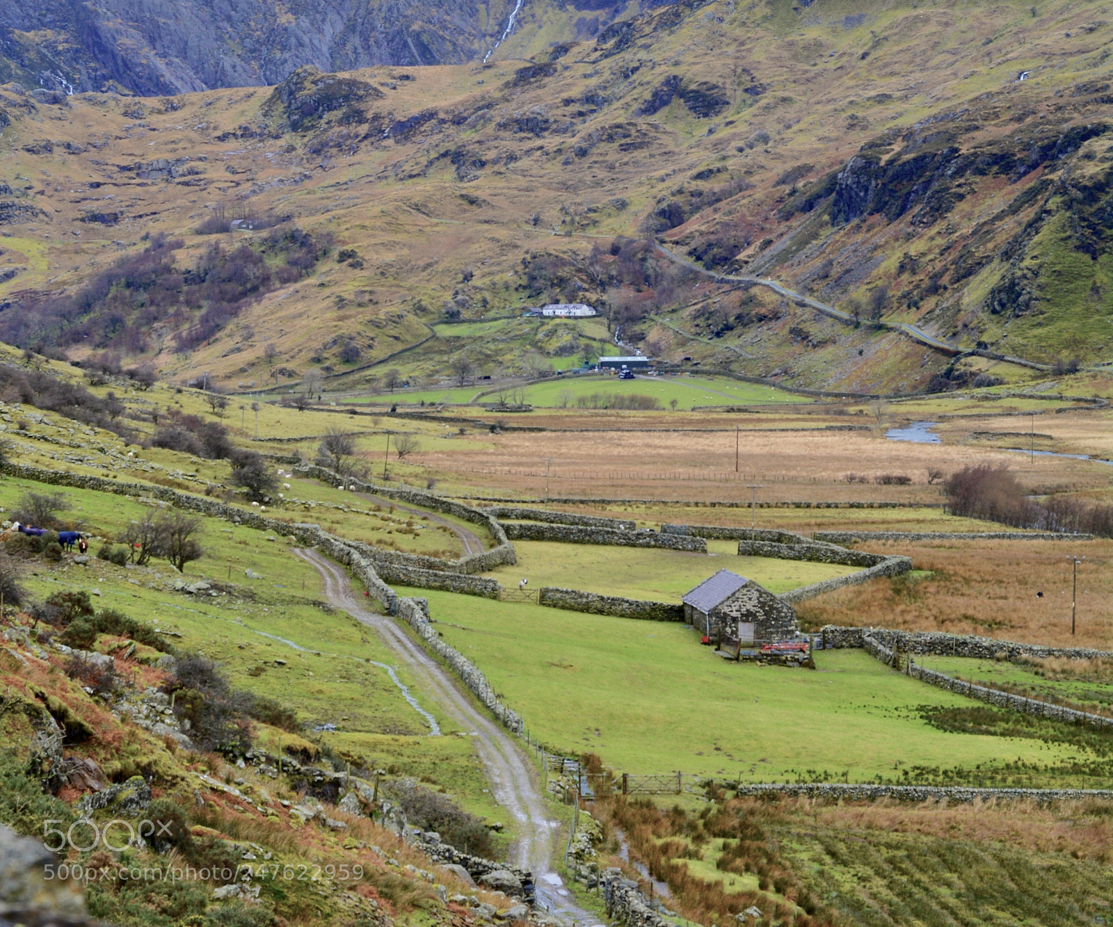 Nikon D5200 sample photo. The valley photography