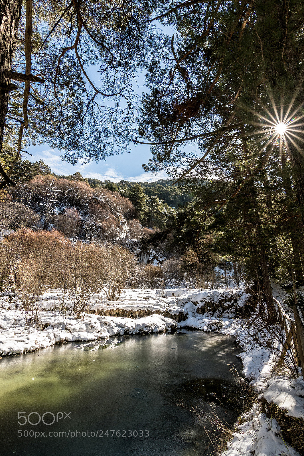 Nikon D7500 sample photo. Vsg photography