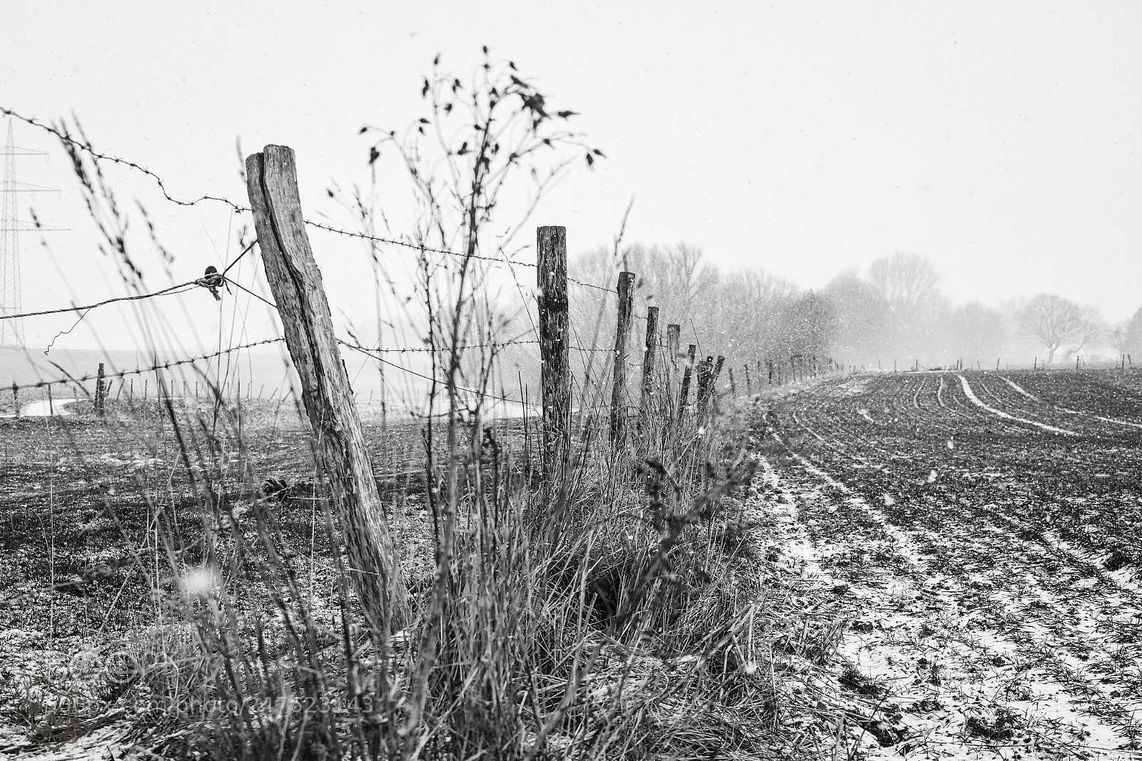Sigma dp2 Quattro sample photo. Fence photography