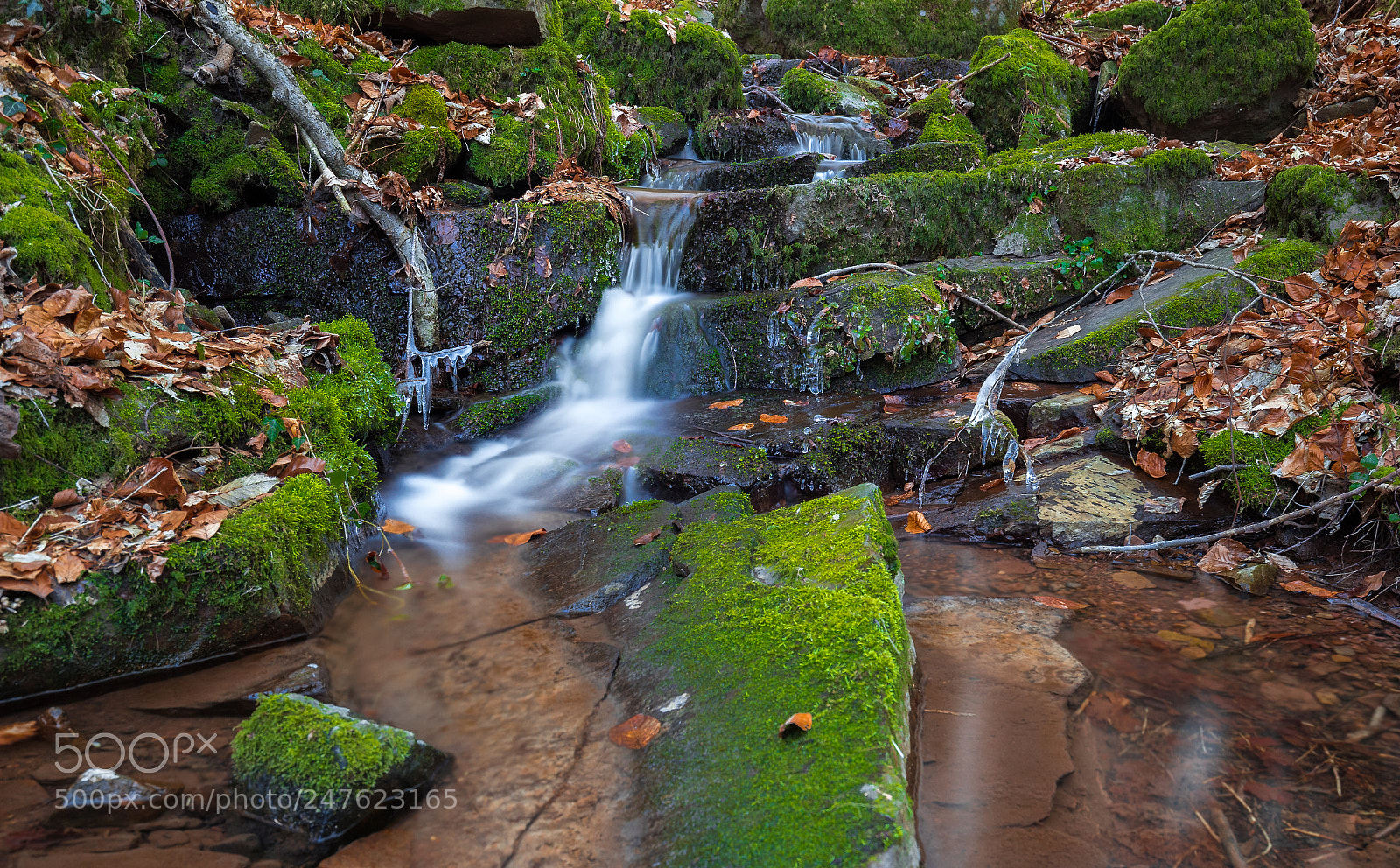 Canon EOS 6D Mark II sample photo. Cascades deep in the photography
