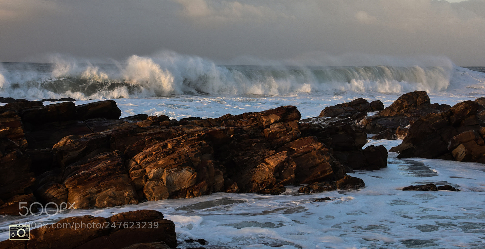 Nikon D7200 sample photo. Morning break photography