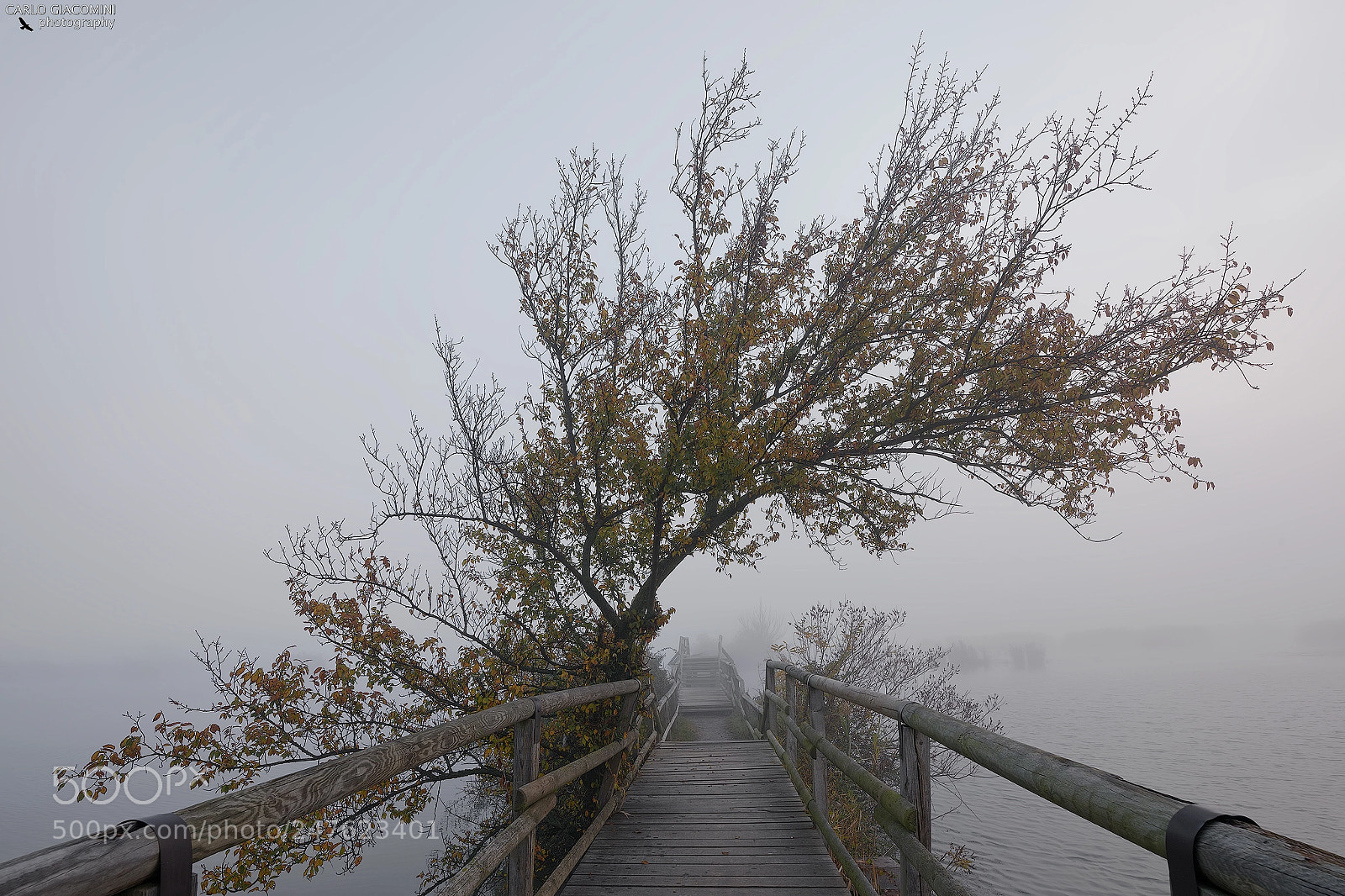 Nikon D810 sample photo. The tacit hug photography