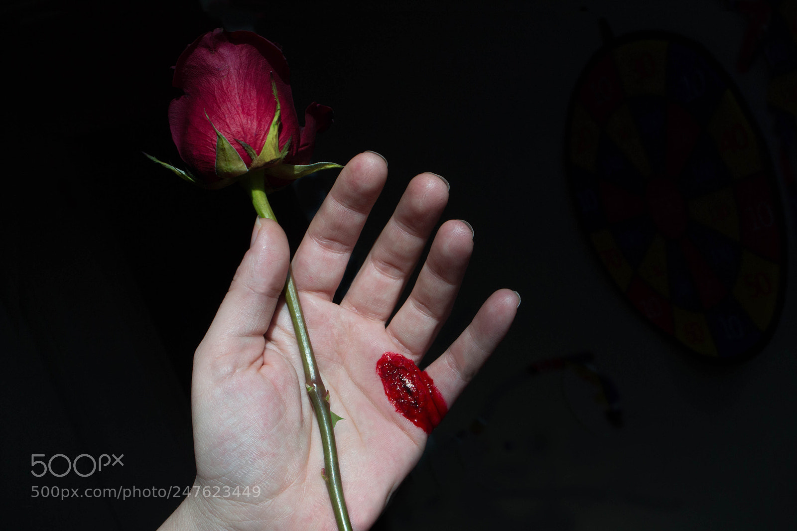 Nikon D3100 sample photo. Emotion every rose has photography