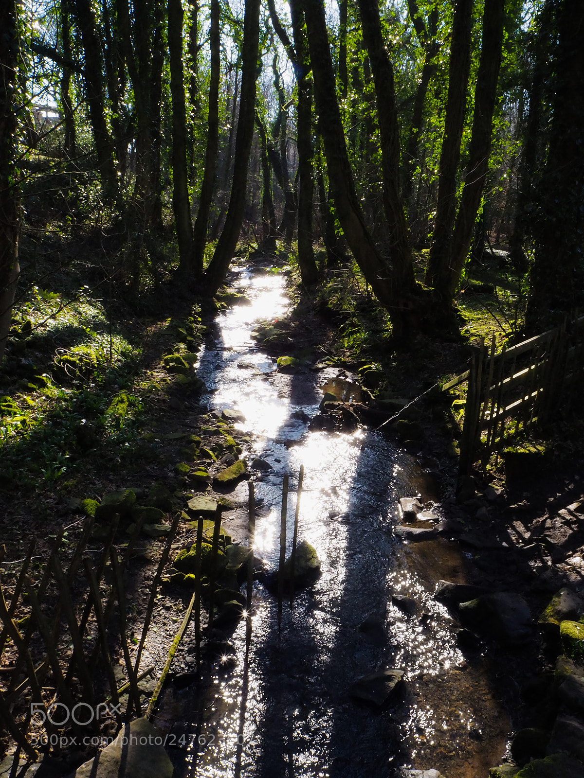 Olympus OM-D E-M10 II sample photo. Glowing river photography