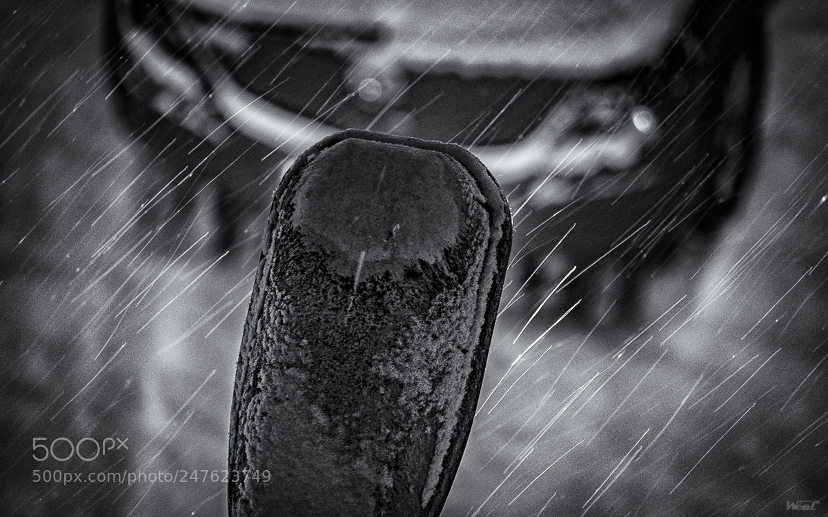 Olympus OM-D E-M5 II sample photo. Snowing photography
