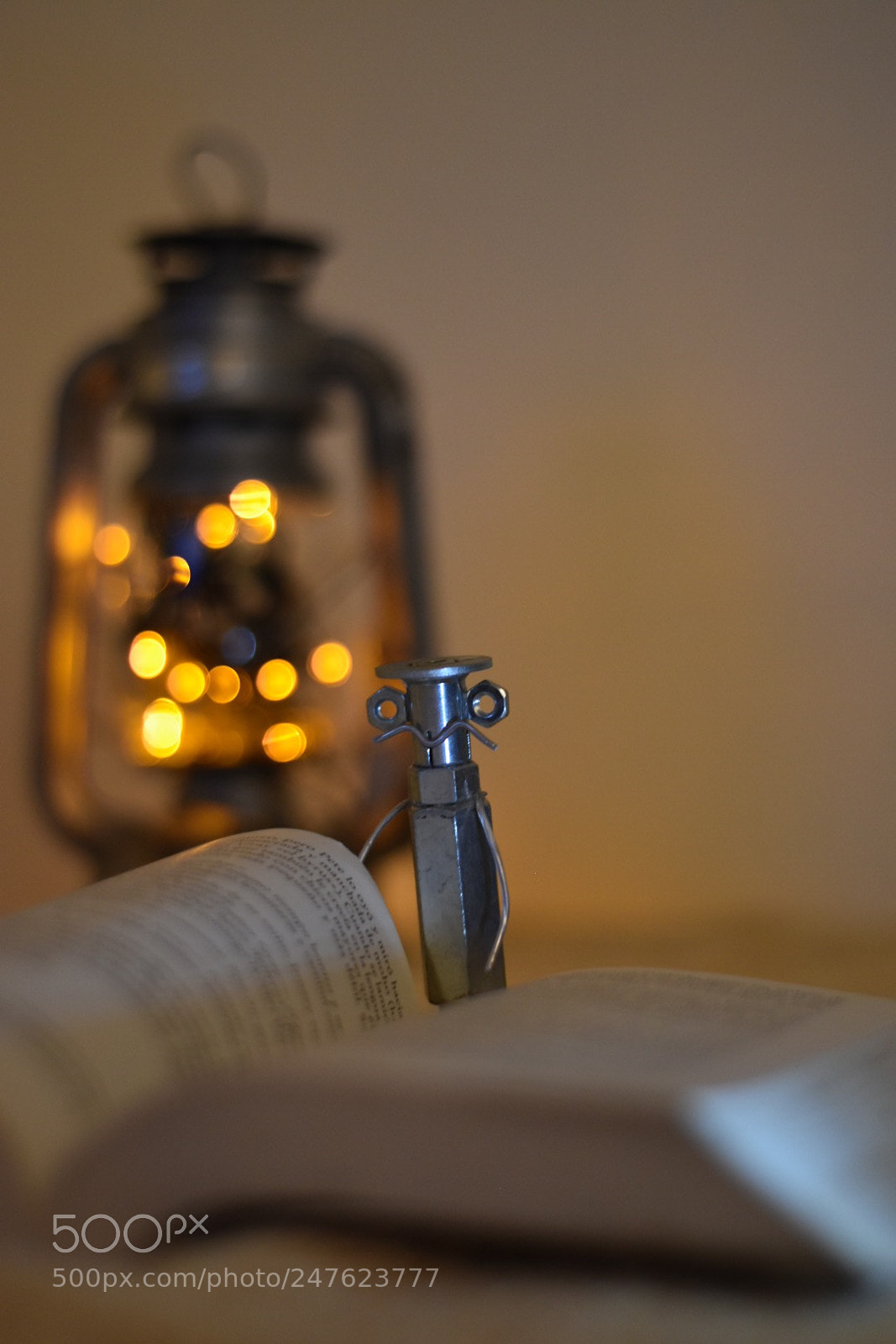 Nikon D5500 sample photo. Untitled photography