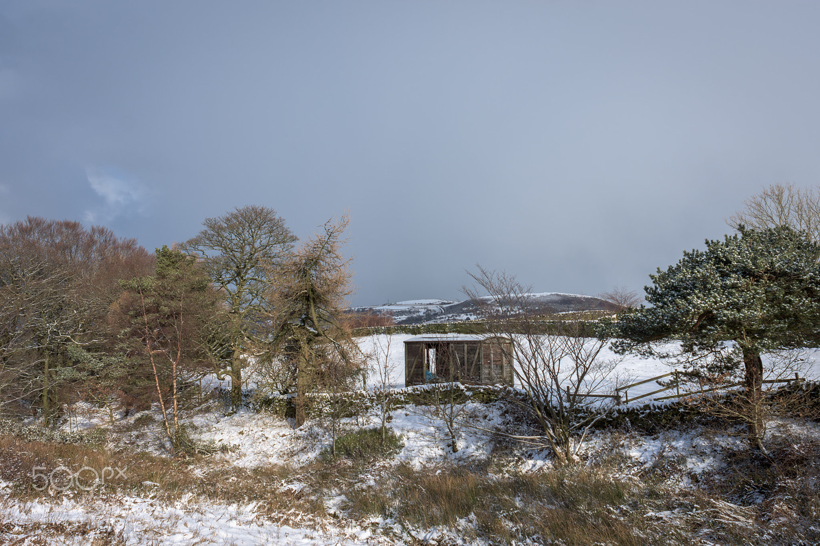 Nikon D7200 sample photo. Snow at strines moor photography