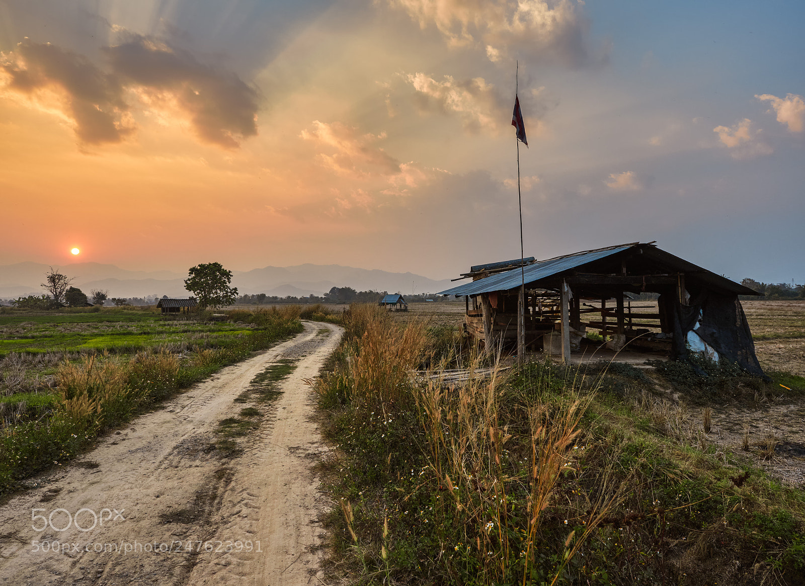Olympus OM-D E-M1 Mark II sample photo. Way to nowhere photography