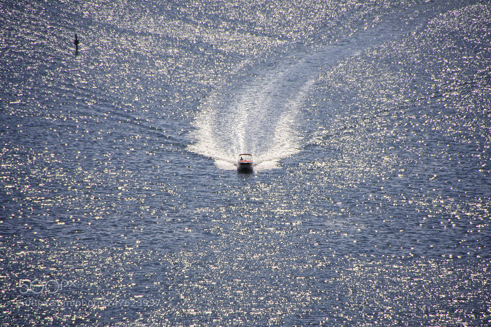 Canon EOS 40D sample photo. Untitled photography