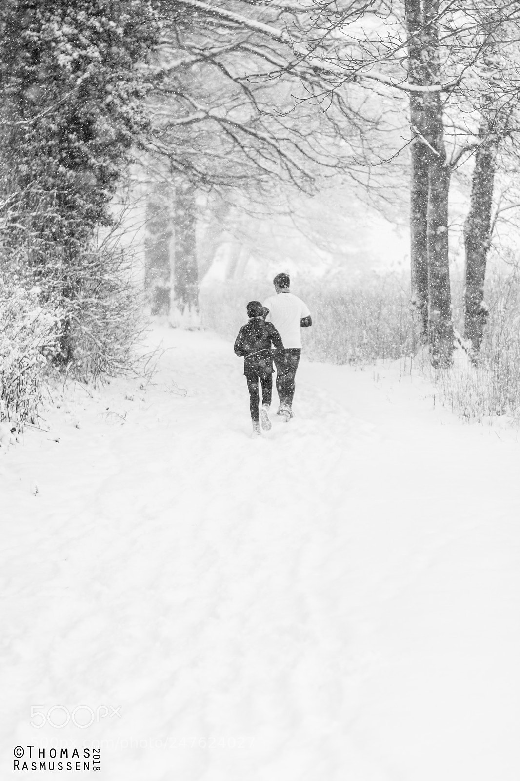 Nikon D7200 sample photo. Run in the snow photography