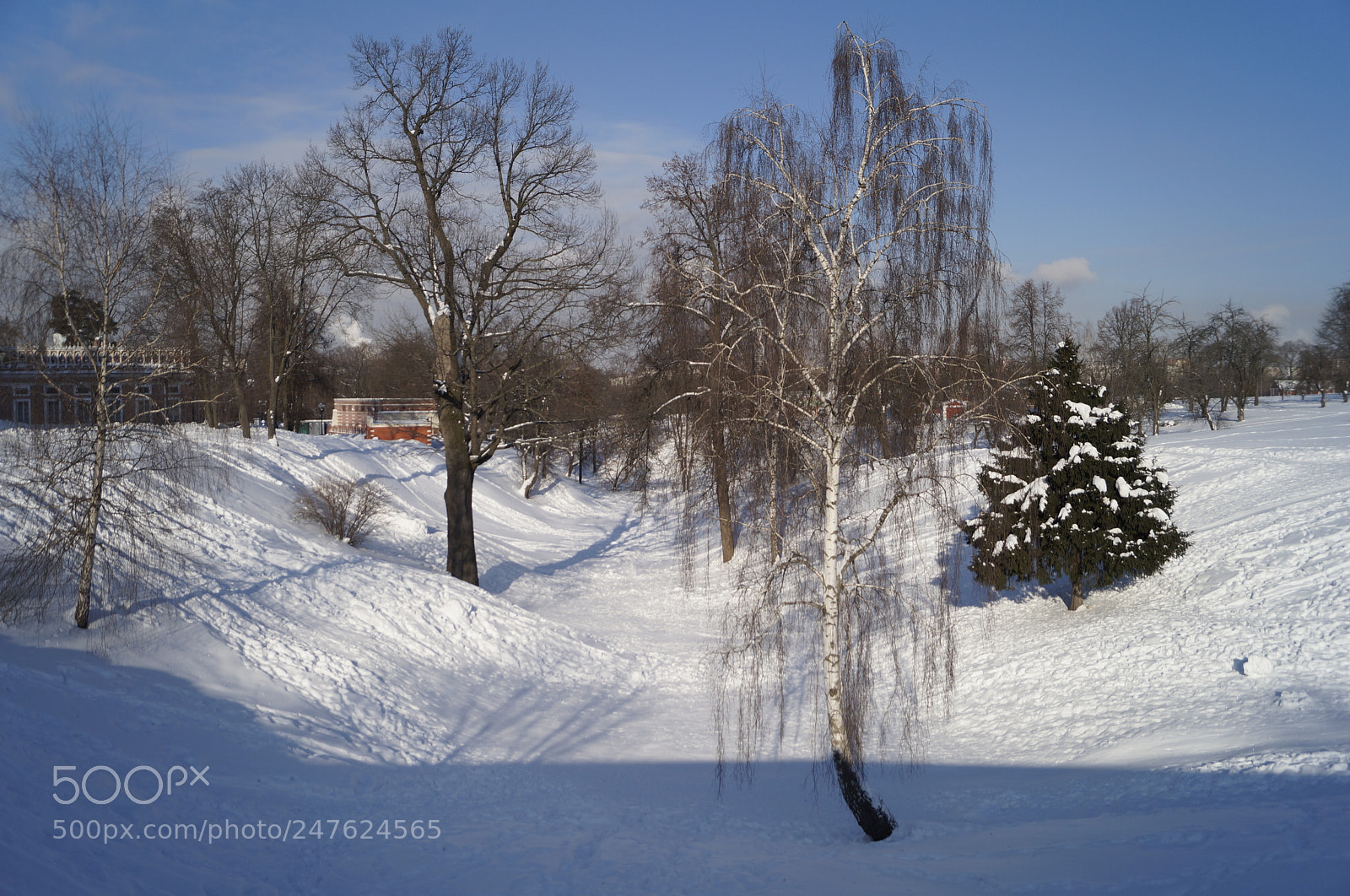 Sony SLT-A57 sample photo. Untitled photography