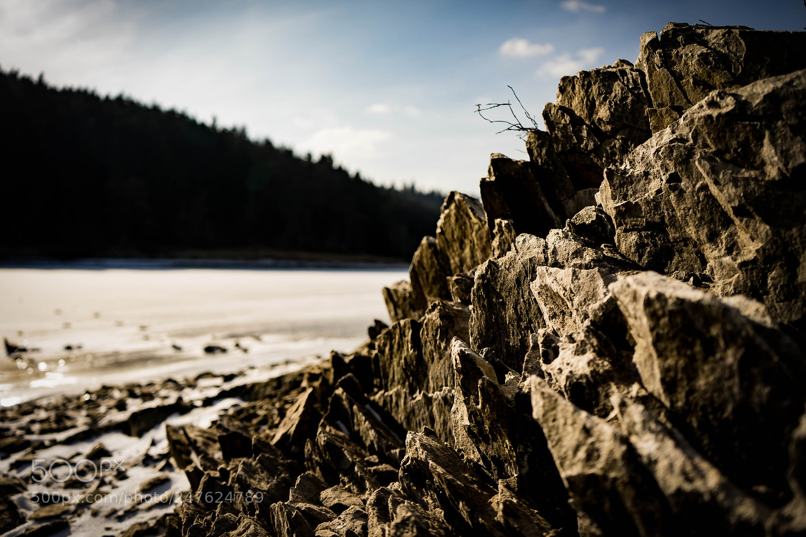 Sony a7 sample photo. Sharp photography