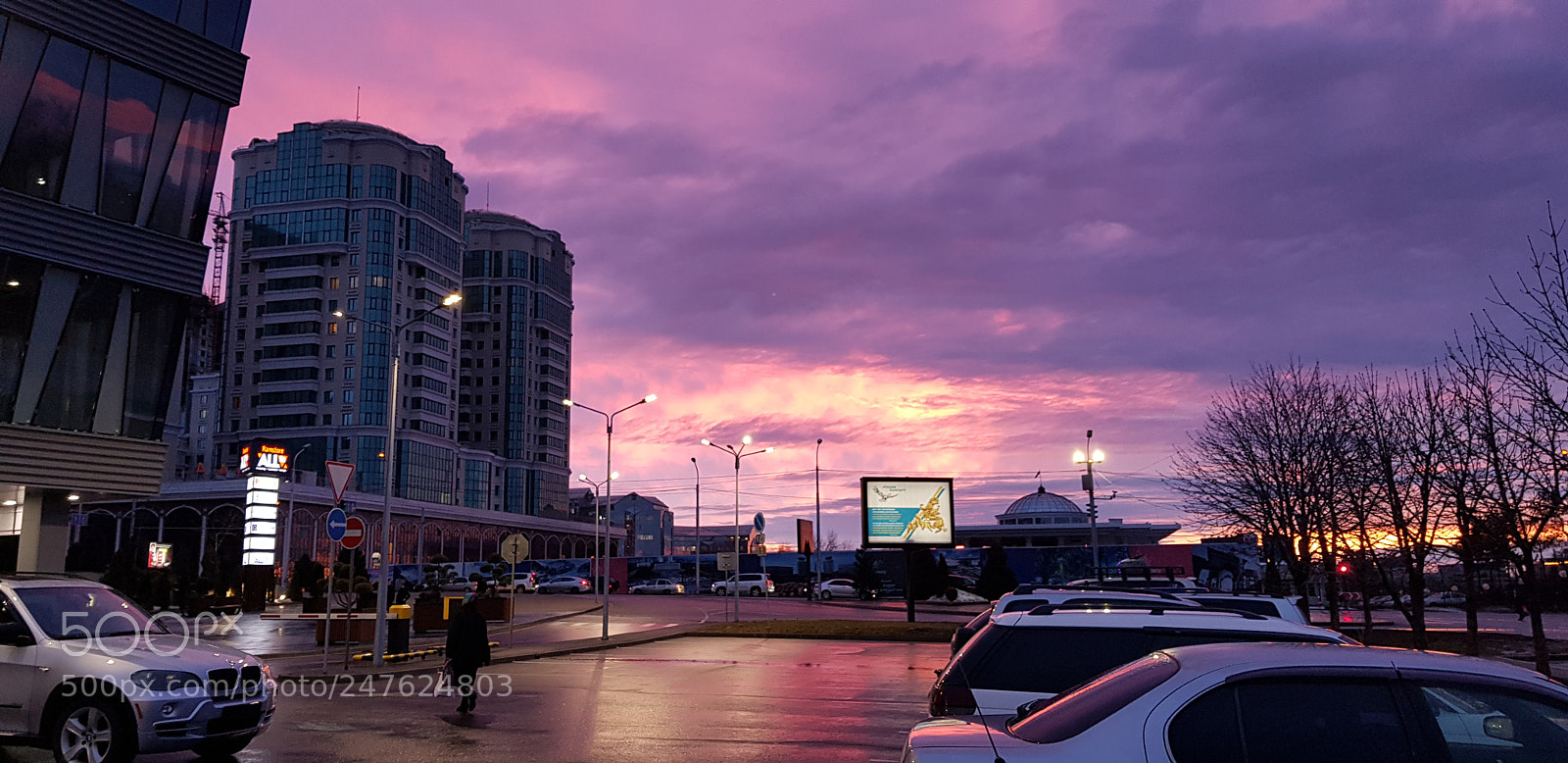 Samsung Galaxy S8+ sample photo. Untitled photography