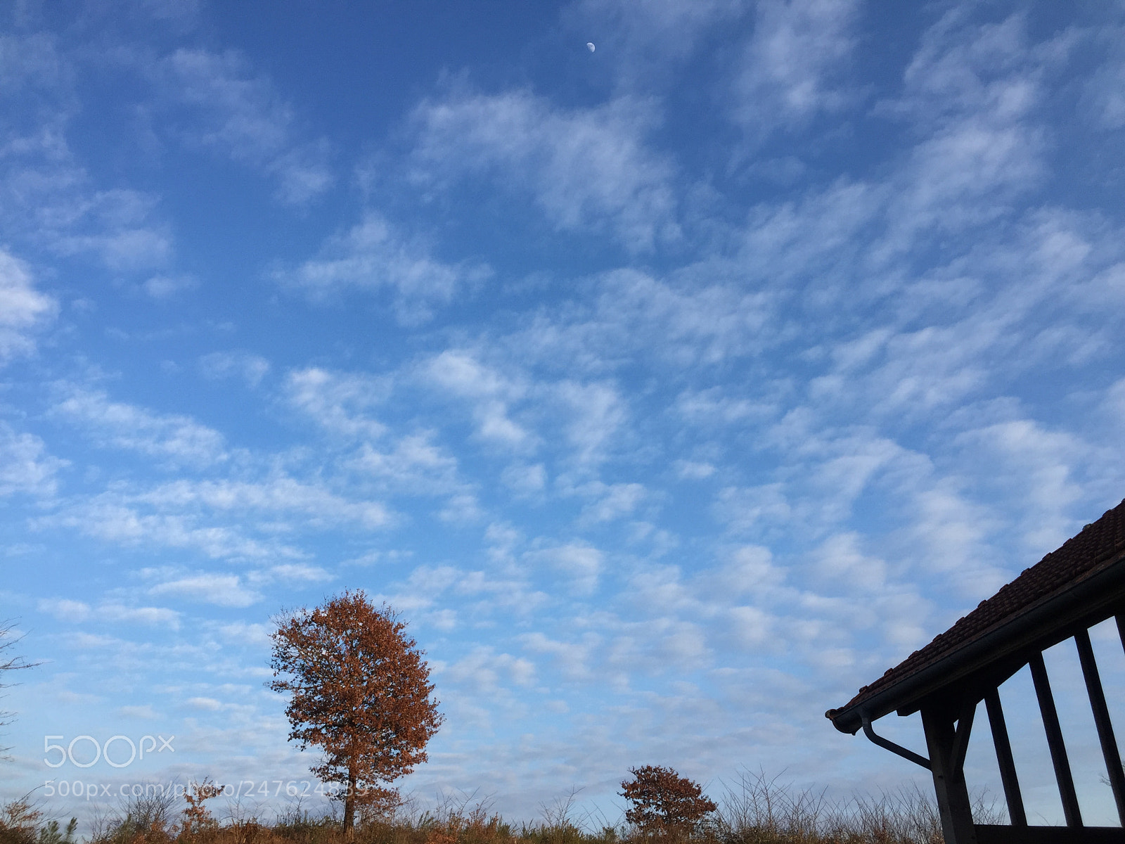 Apple iPhone 6 sample photo. Untitled photography