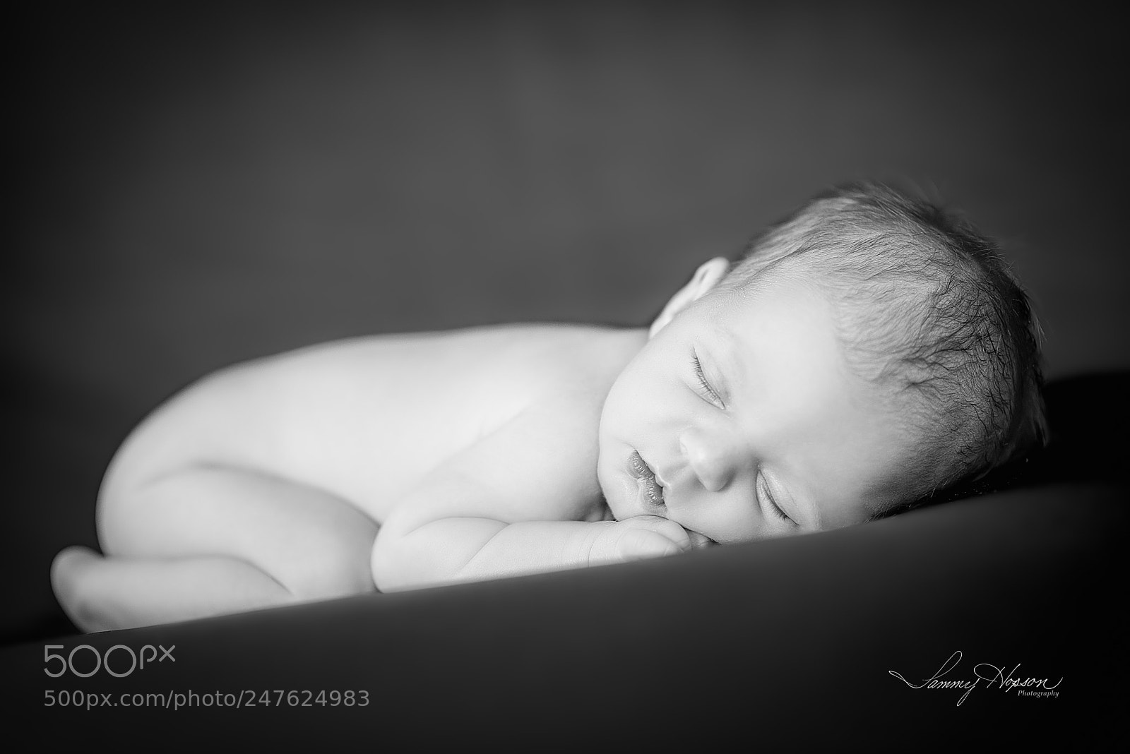 Nikon D800 sample photo. "life begun" photography