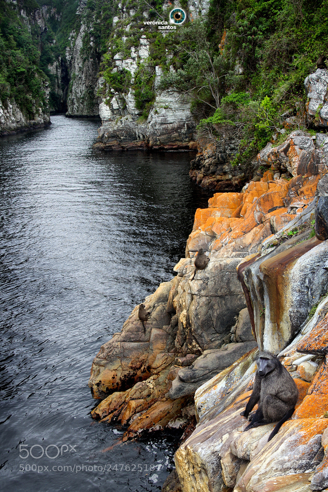 Canon EOS 1000D (EOS Digital Rebel XS / EOS Kiss F) sample photo. Storms river mouth photography