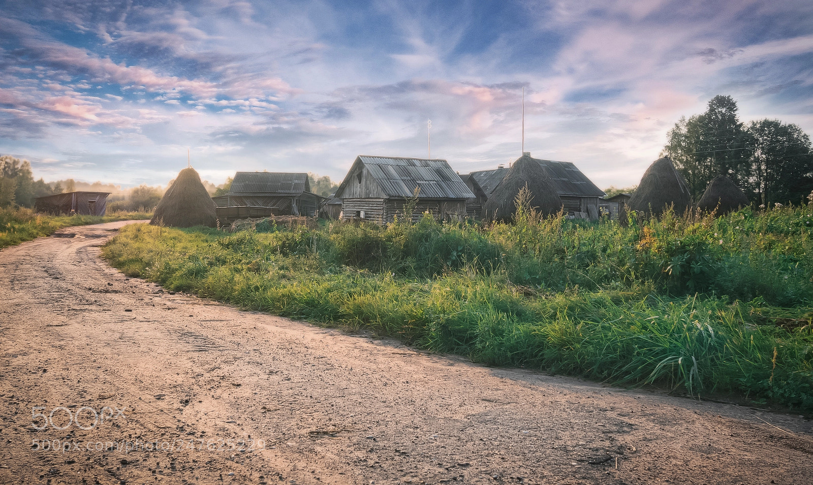 Olympus OM-D E-M5 II sample photo. Evening in the farm photography