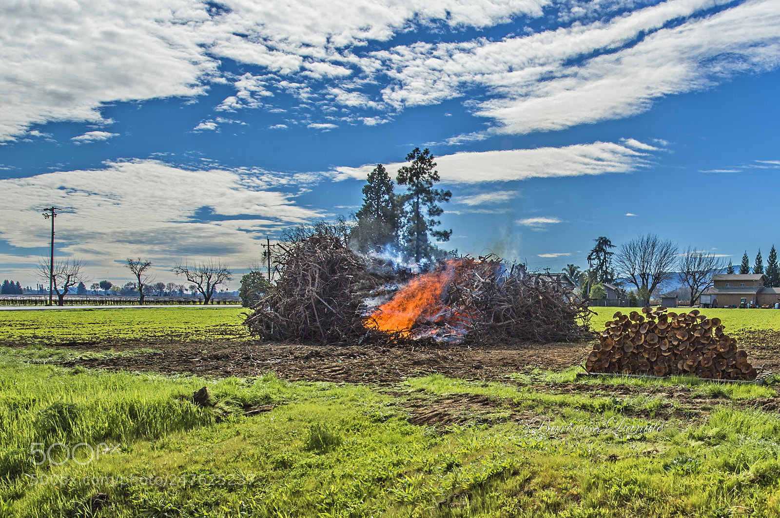 Nikon D4S sample photo. Burning wines photography