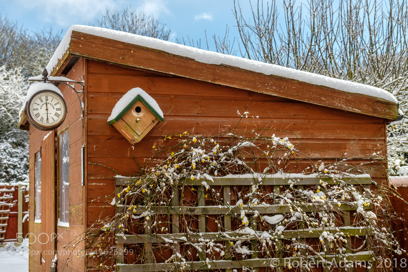 Fujifilm X-T2 sample photo. Frozen in time photography
