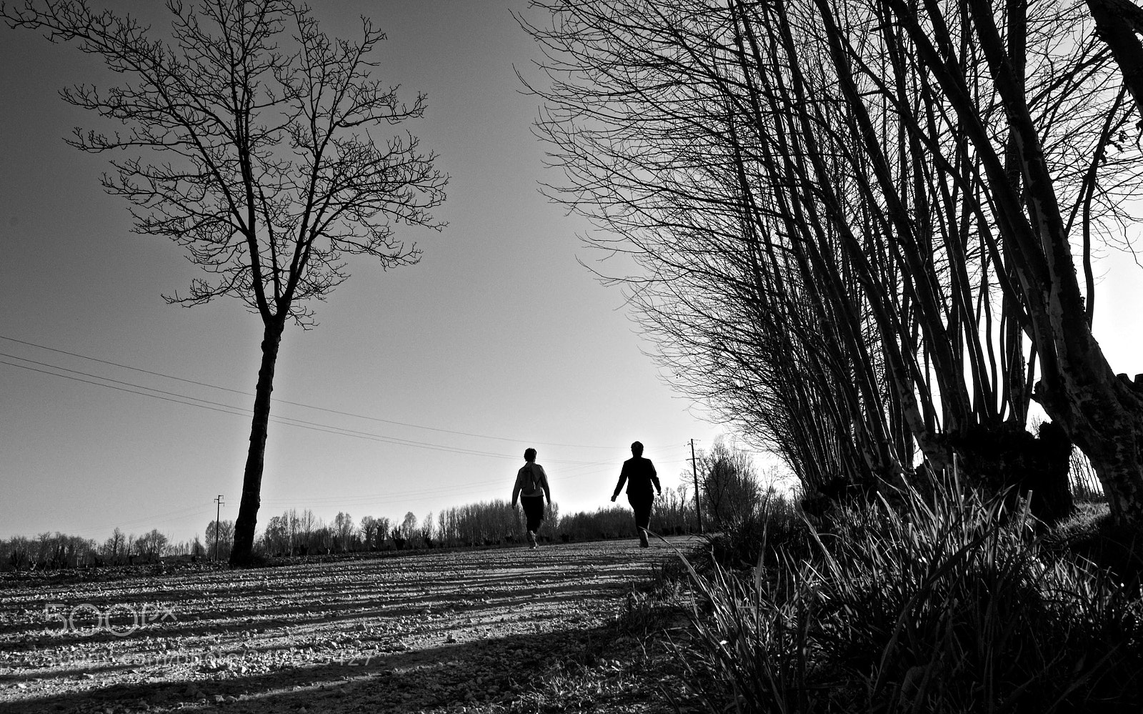Nikon D3200 sample photo. Walking by the countryside photography