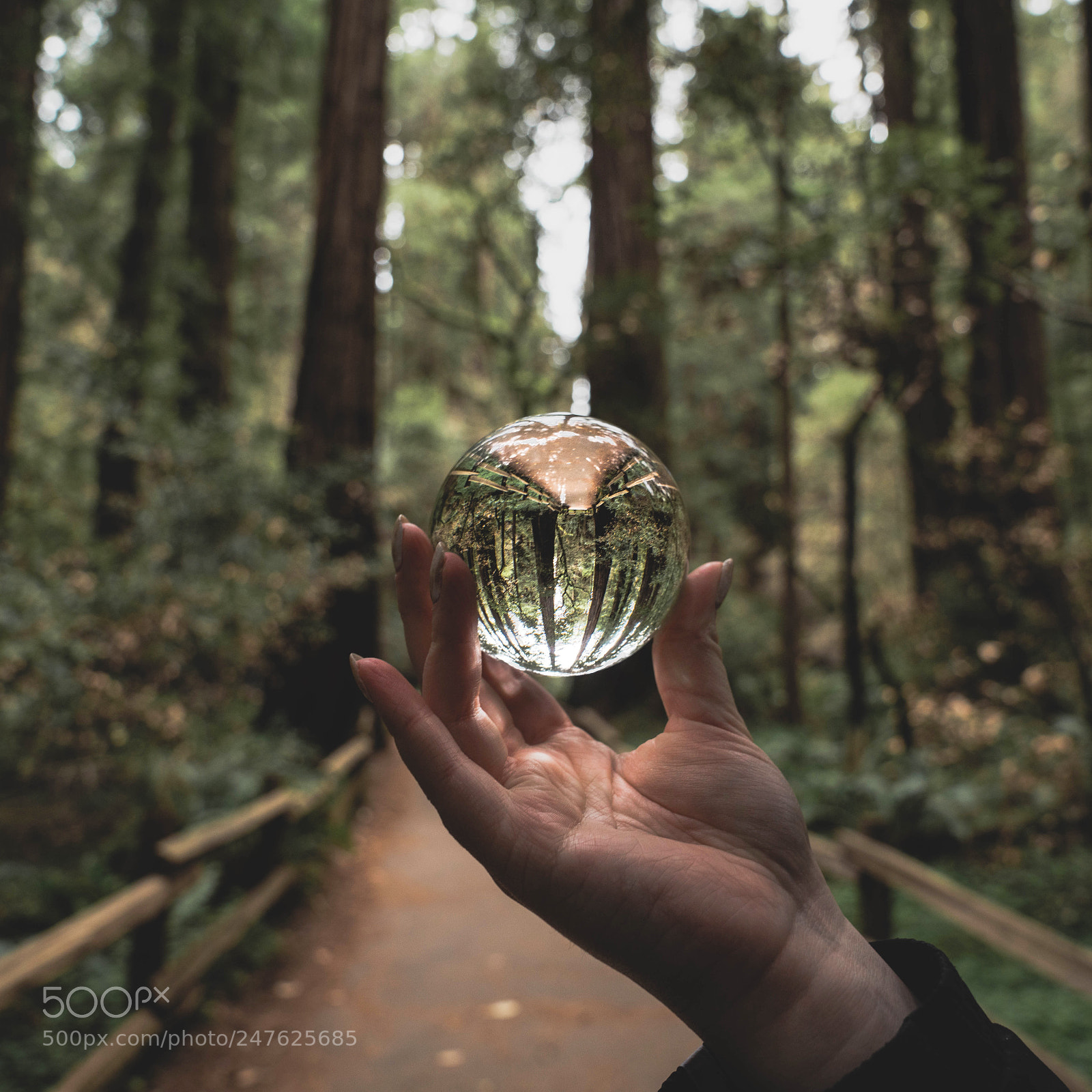 Sony a7R II sample photo. Untitled photography