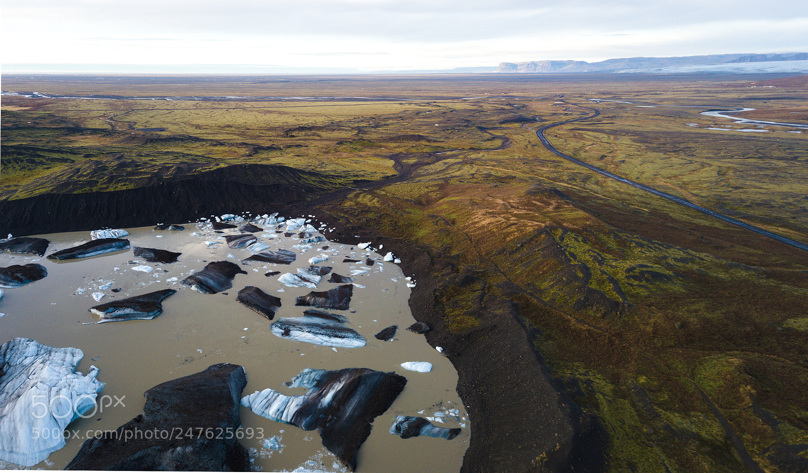 DJI FC220 sample photo. Wild world photography