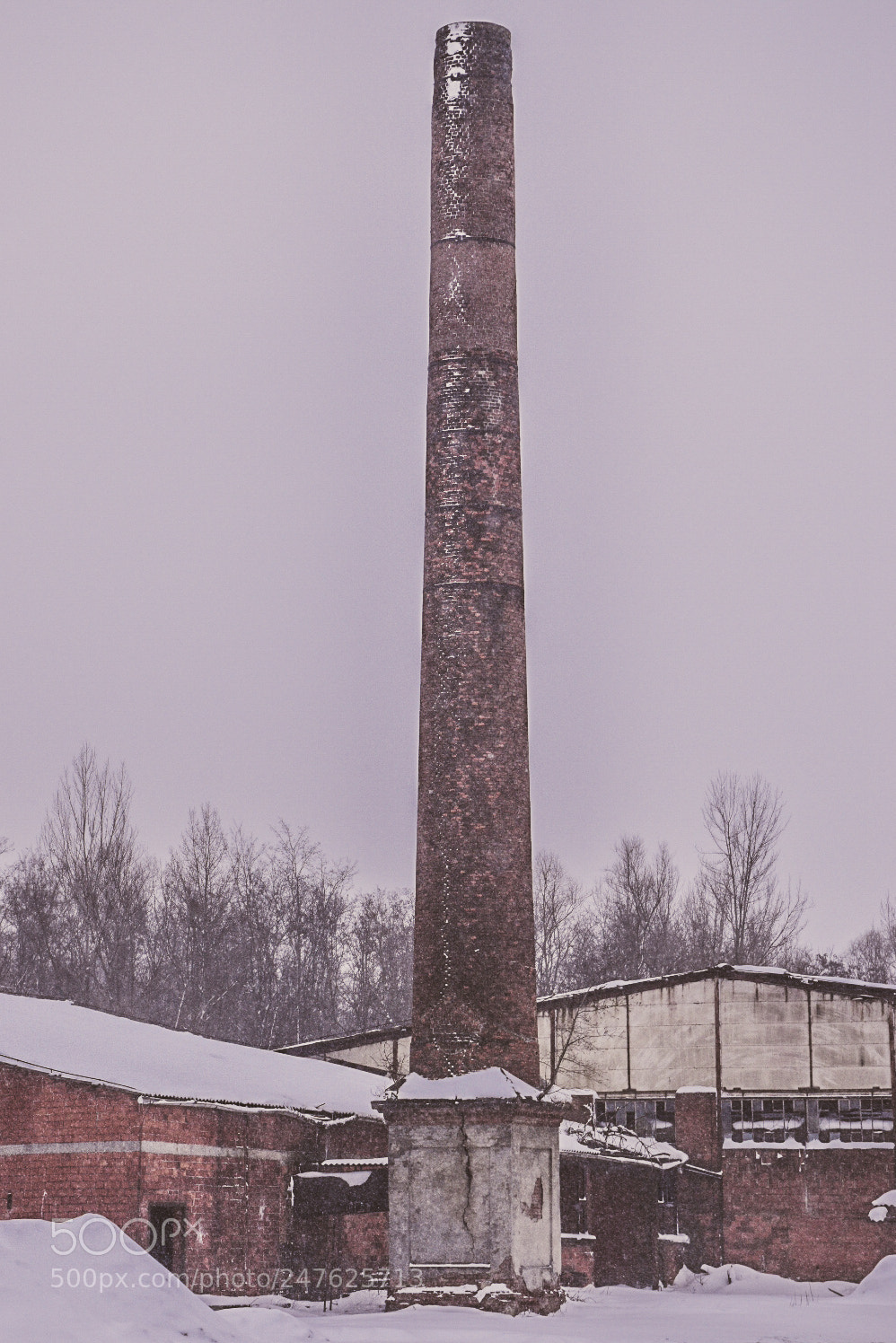 Nikon D5600 sample photo. Old brickwork photography