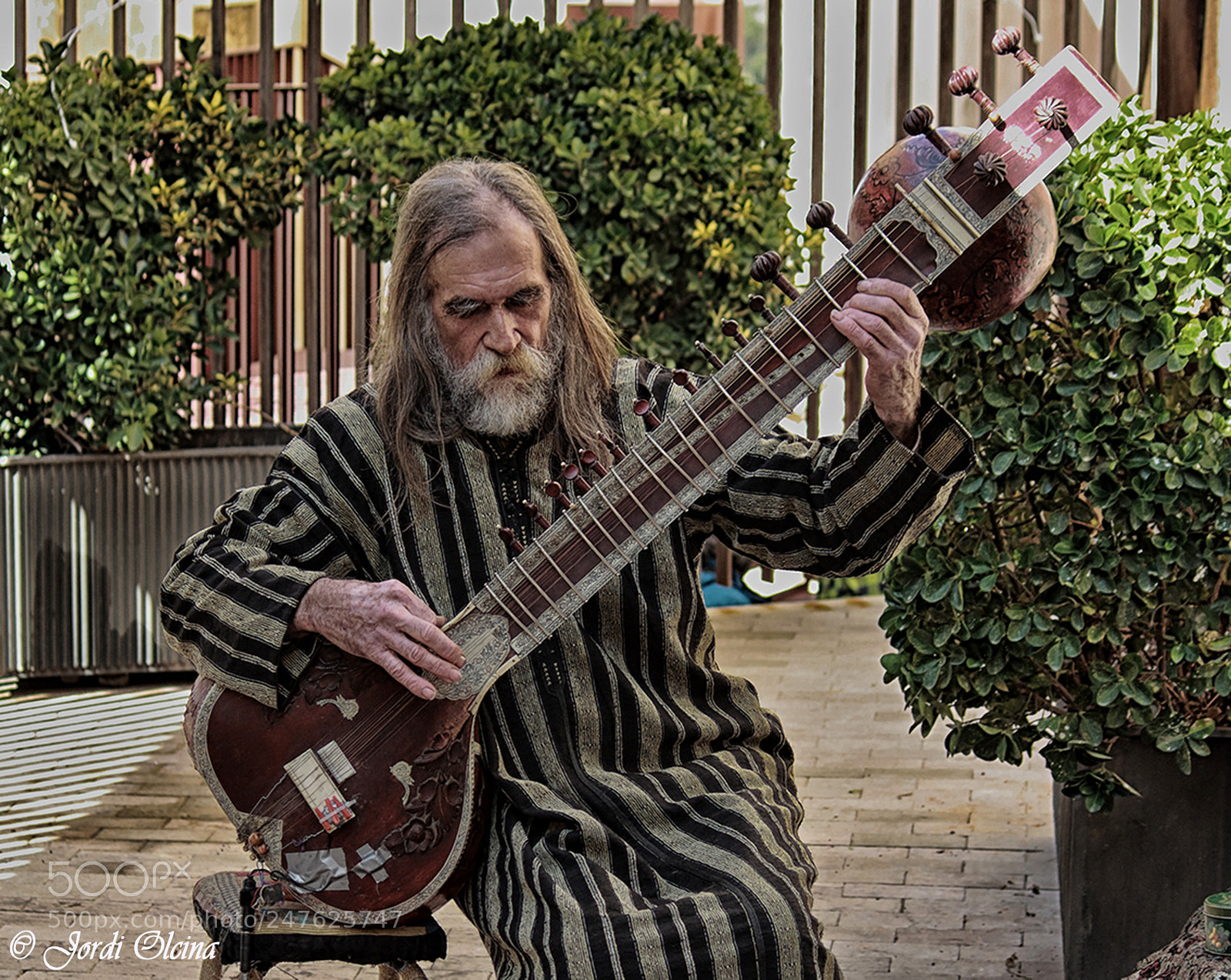 Canon EOS 50D sample photo. El musico del sitar photography