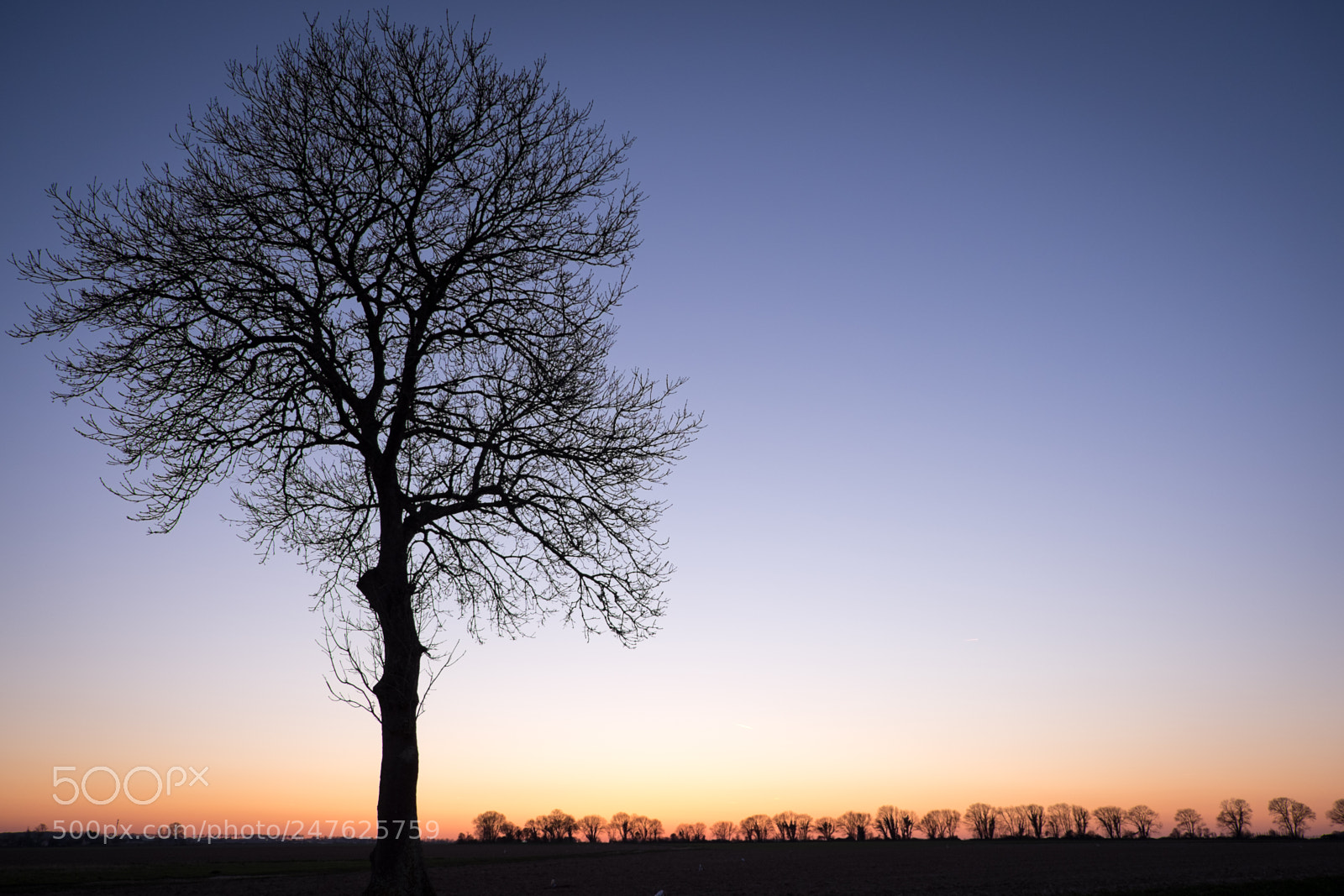 Fujifilm X-T1 sample photo. Winter sunset photography