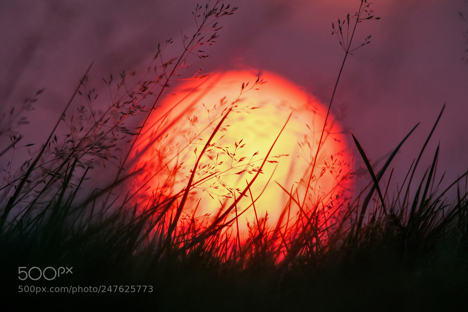 Canon EOS 7D Mark II sample photo. Fireball photography