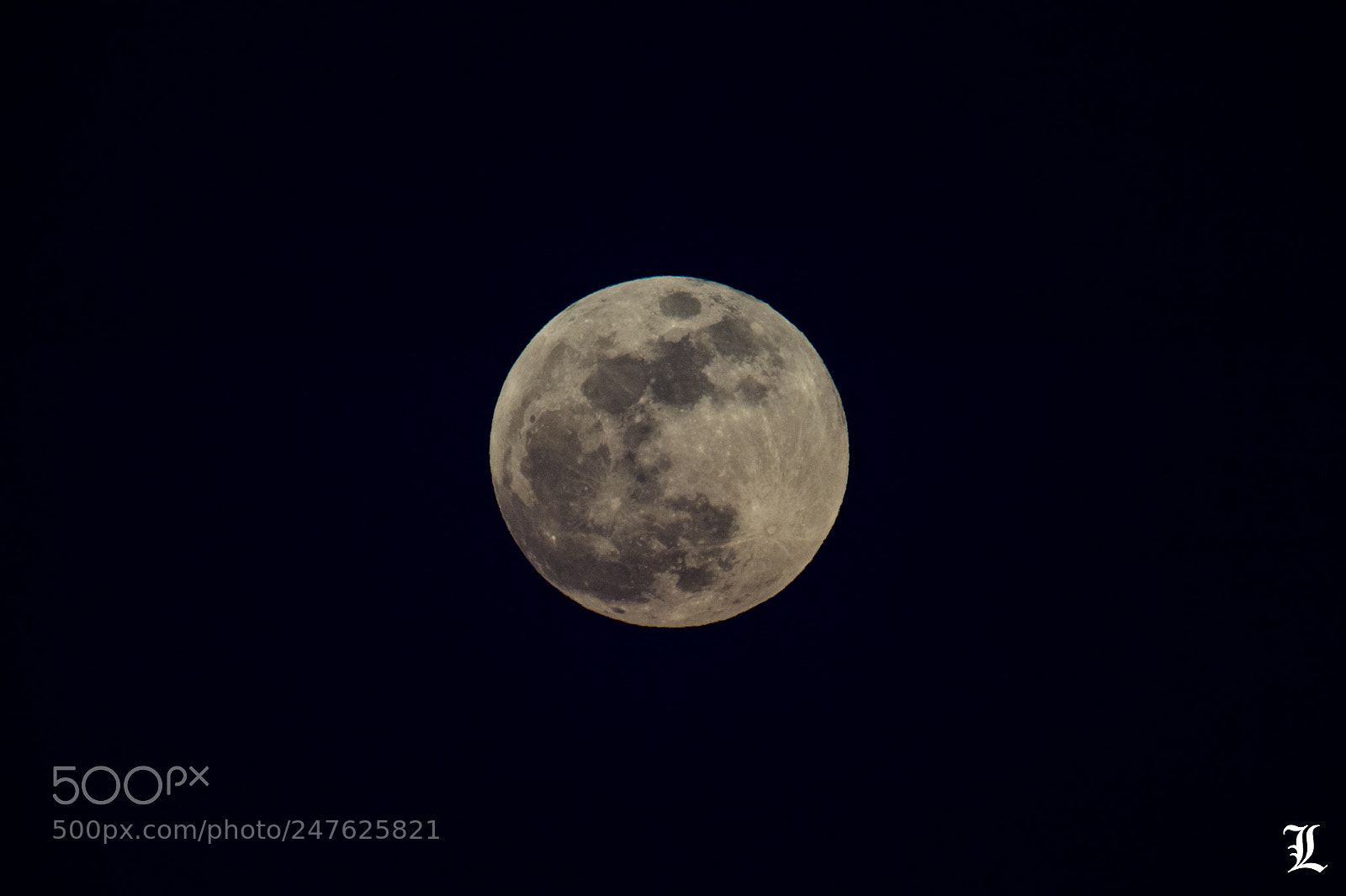 Nikon Df sample photo. Untitled photography