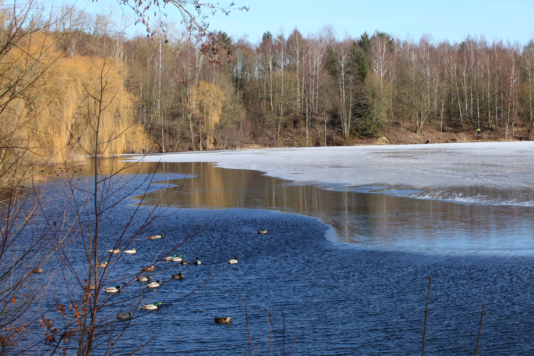 Canon EF 70-200mm F4L USM sample photo. The winter photography