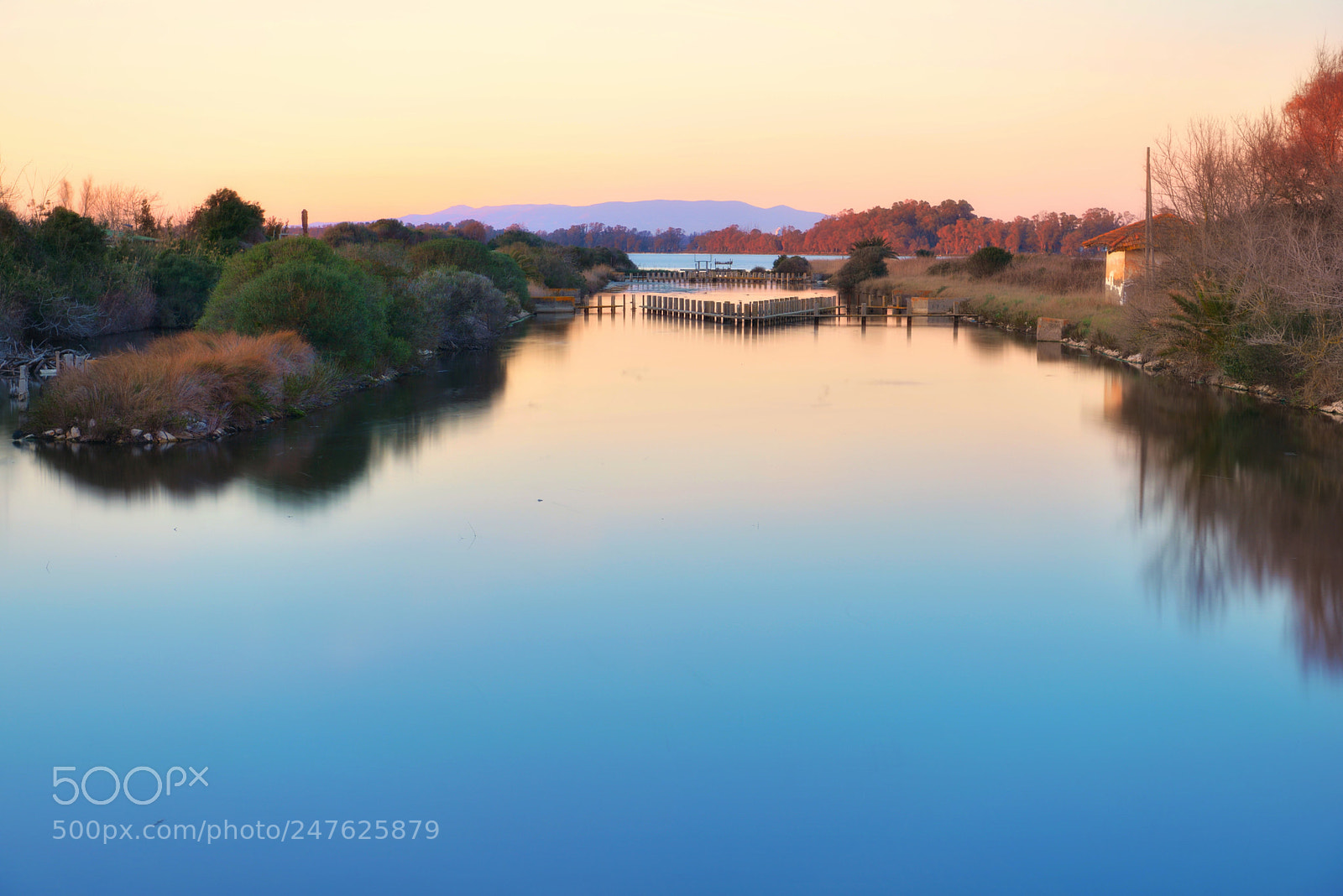 Nikon D610 sample photo. The shape of the photography