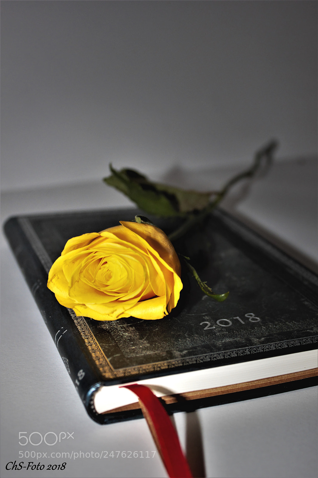 Canon EOS 550D (EOS Rebel T2i / EOS Kiss X4) sample photo. Buch photography