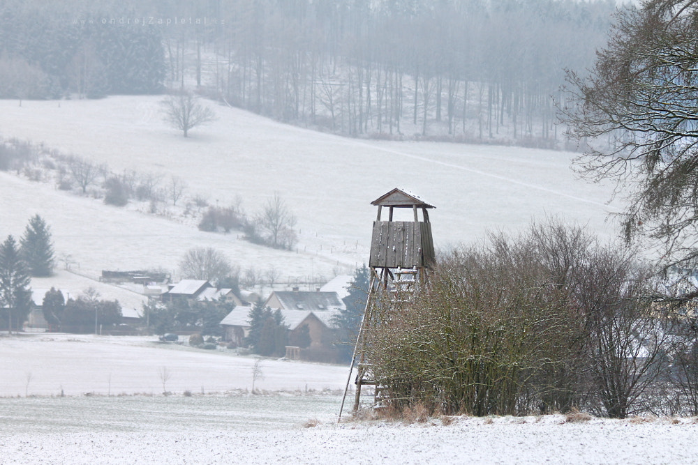 Canon EF 70-300mm F4-5.6 IS USM sample photo. Tower for animal watching photography