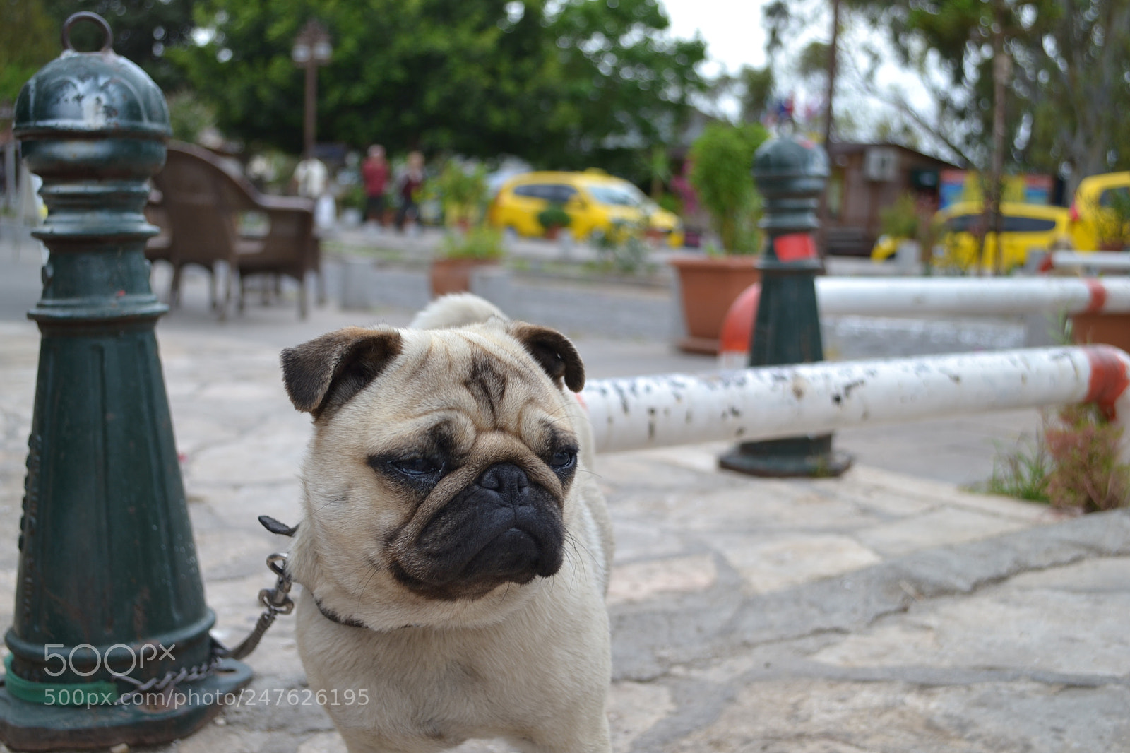 Nikon D3100 sample photo. ~rıfkı~ photography
