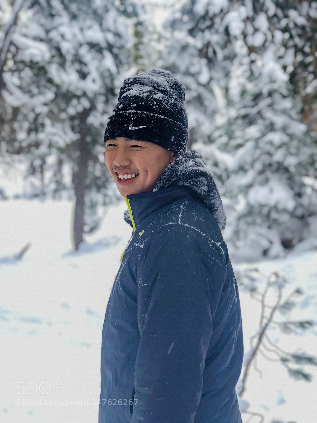 Apple iPhone 8 Plus sample photo. Winter wonderland photography