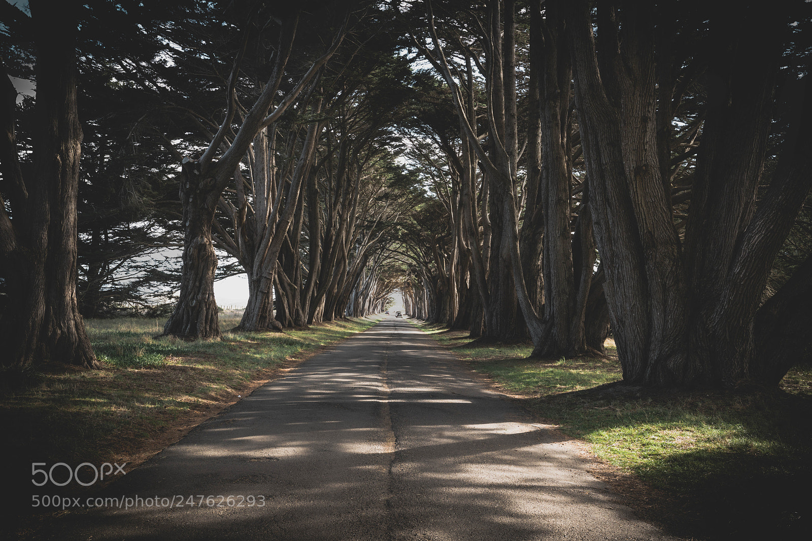 Sony a7R II sample photo. Untitled photography