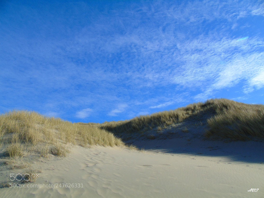 Sony Cyber-shot DSC-H400 sample photo. Seaside dunes photography