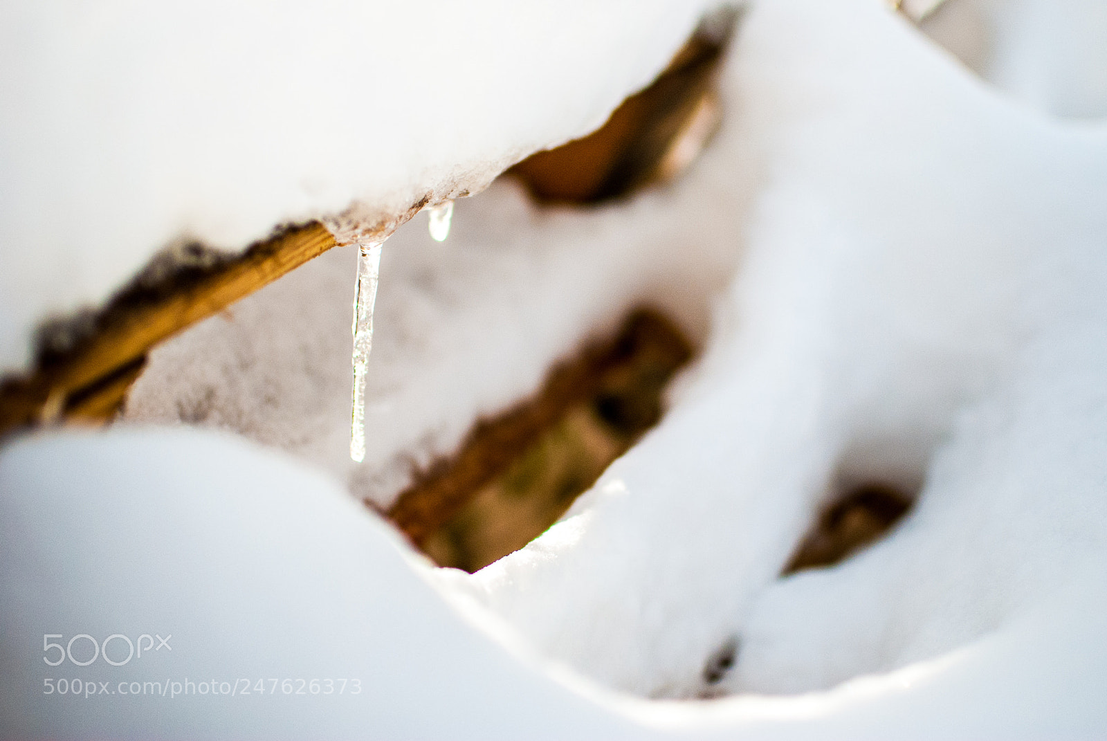 Nikon D80 sample photo. Icicle #1 photography