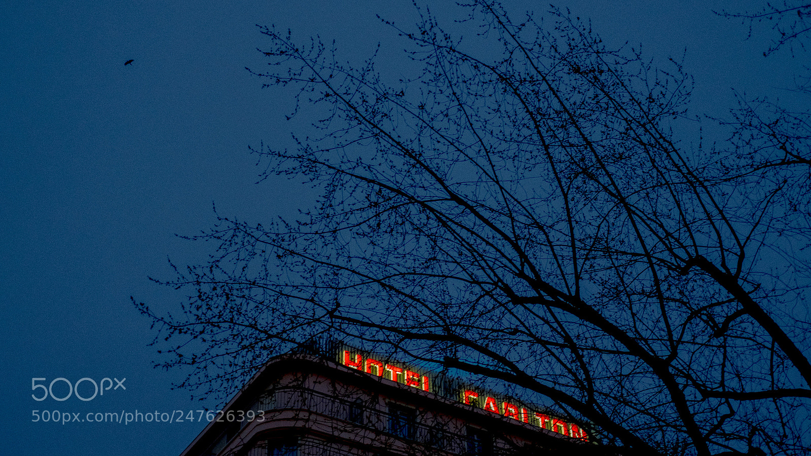 Fujifilm X-T1 sample photo. Hotel carlton photography